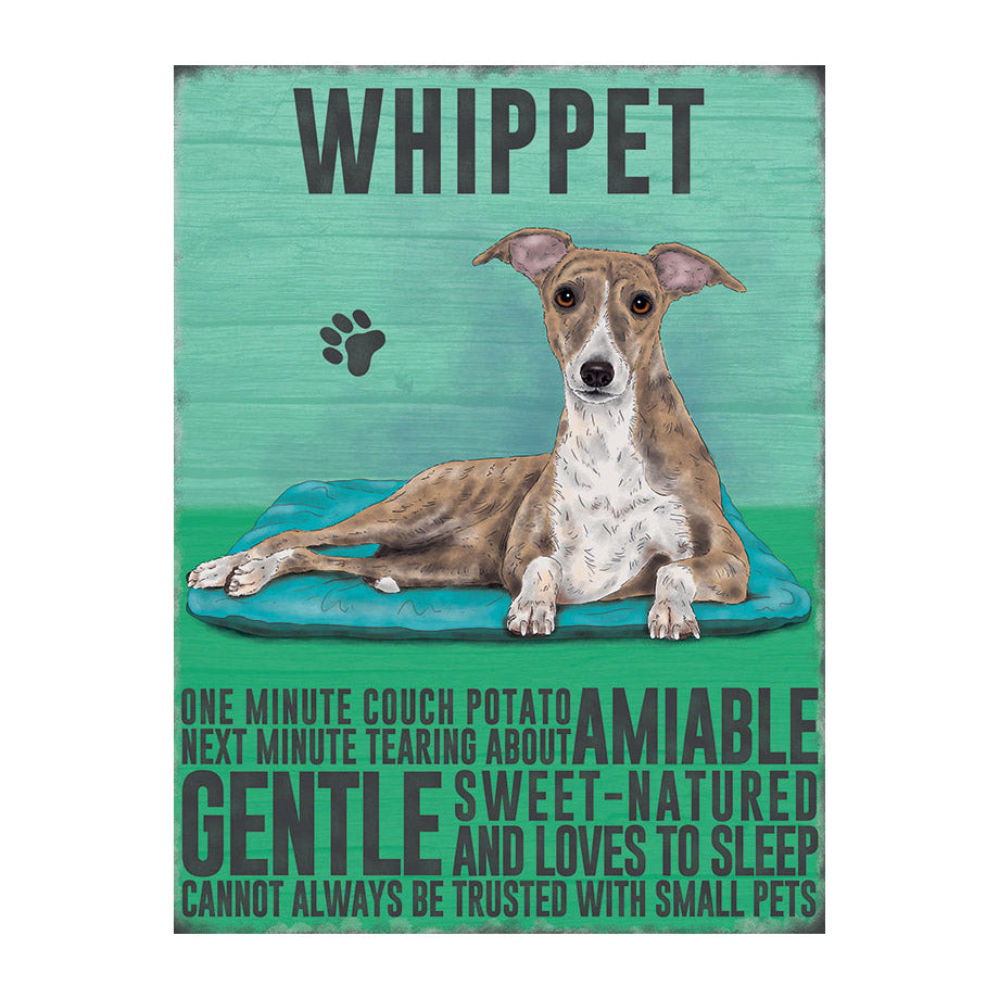 Whippet (Small)