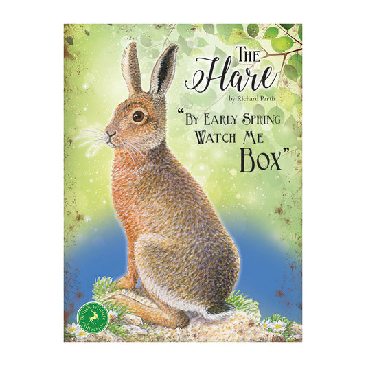 Hare - By Early Spring Watch Me Box (Small)