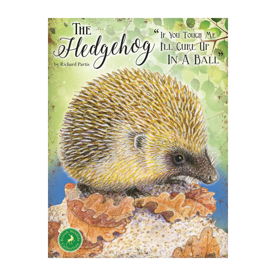 The Hedgehog - If you touch me I'll curl up in a ball (Small)