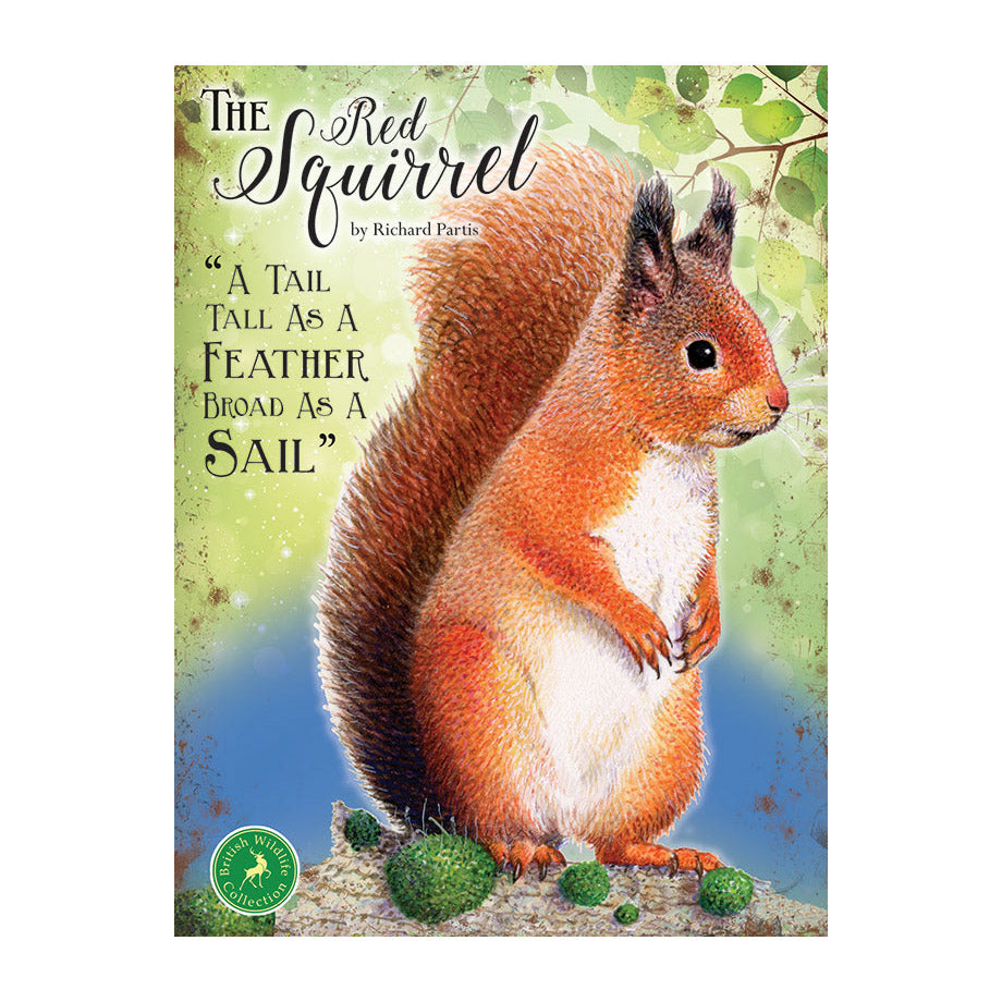The Red Squirrel - A tail tall as a feather broad as a sail (Small)