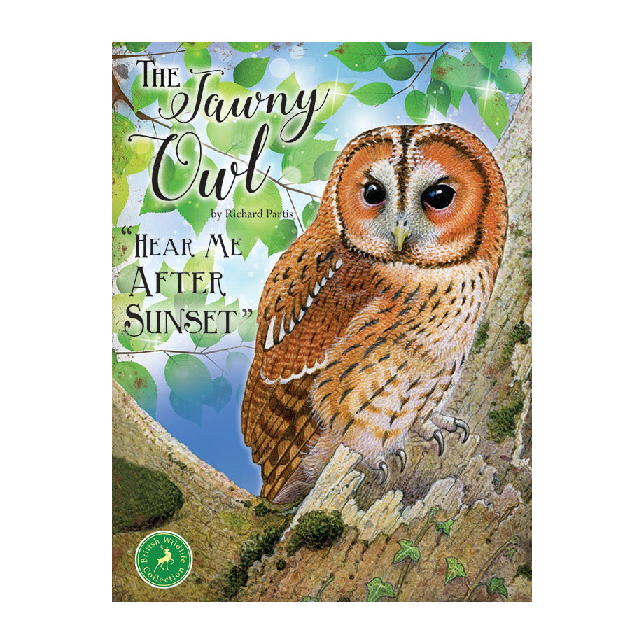 The Tawny Owl - Hear Me After Sunset (Small)