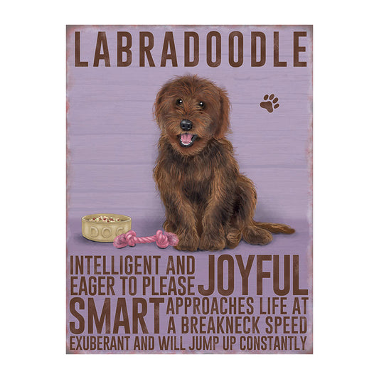 Chocolate Labradoodle (Small)