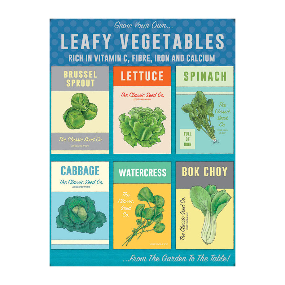 Grow your own Leafy Vegetables (Small)