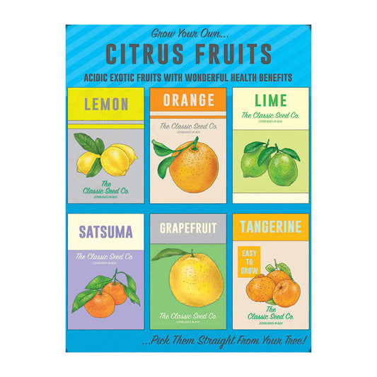 Grow your own Citrus Fruits (Small)