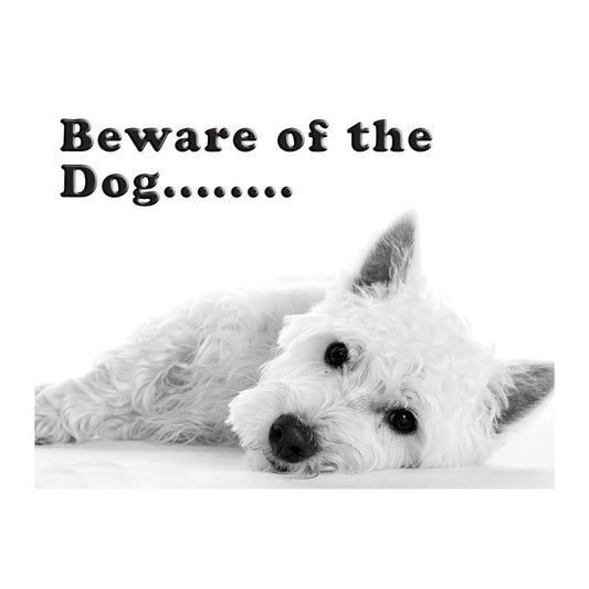 Beware of the Dog (Small)