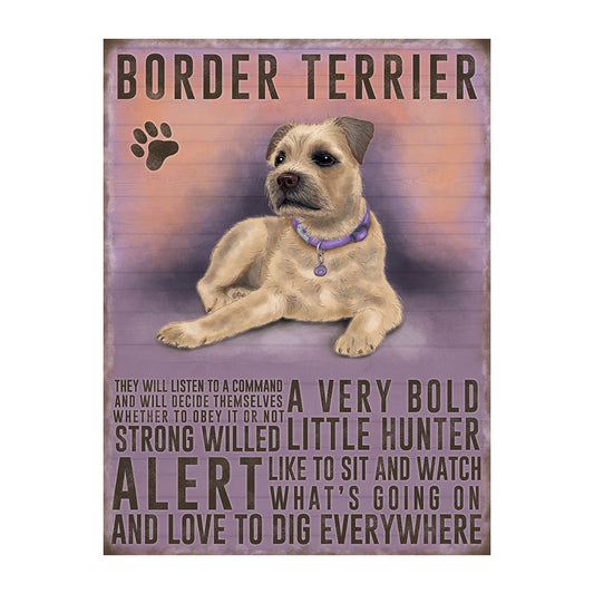 Border Terrier (Small)