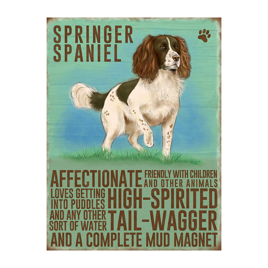 Springer Spaniel (Small)