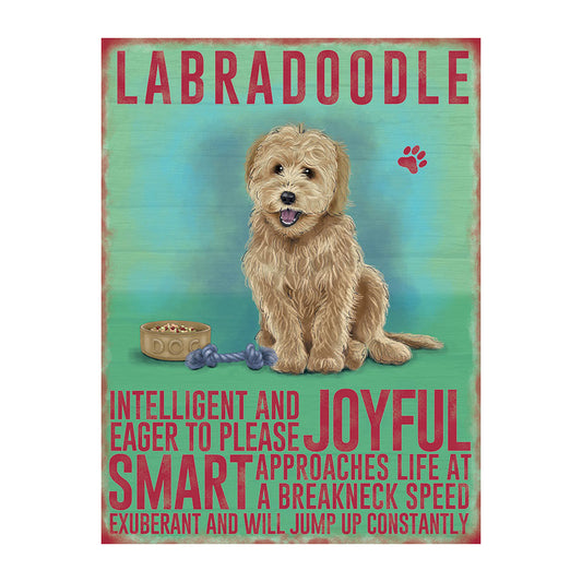 Labradoodle (Small)