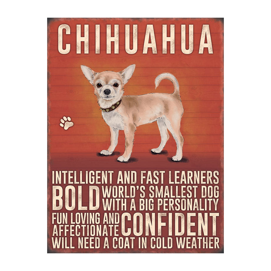 Chihuahua (Small)
