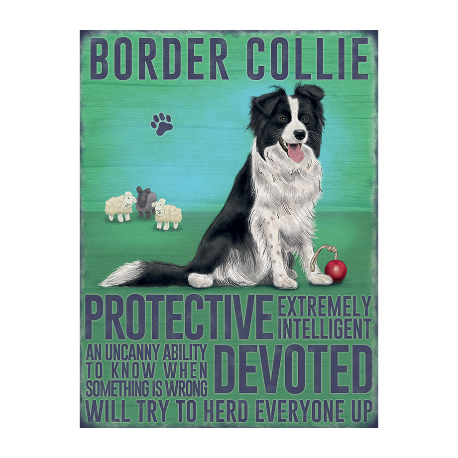 Border Collie (Small)