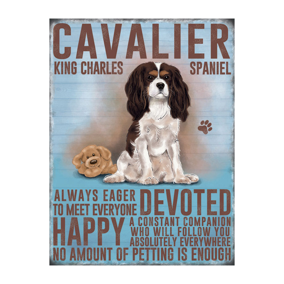 Cavalier King Charles Spaniel (Small)