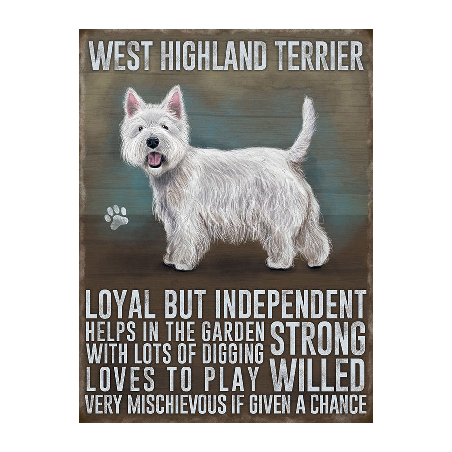 West Highland Terrier - Westie (Small)