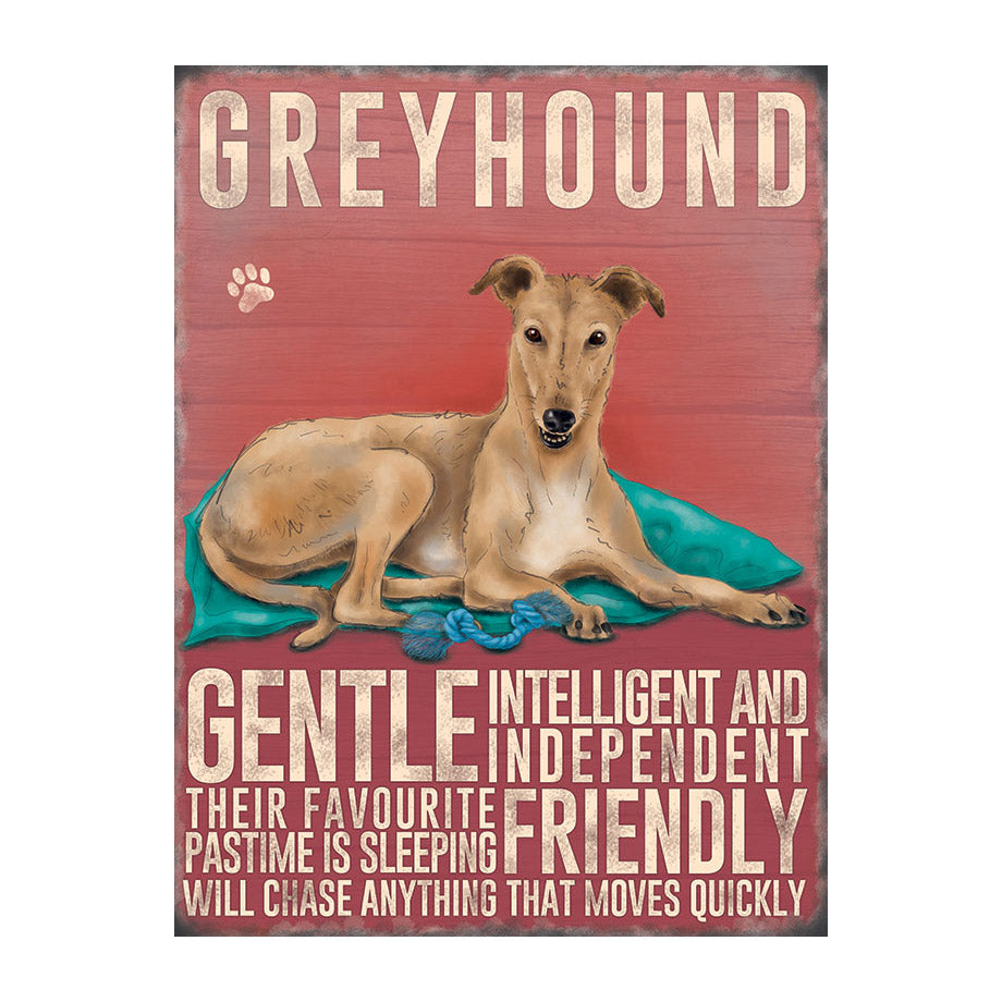 Greyhound (Small)