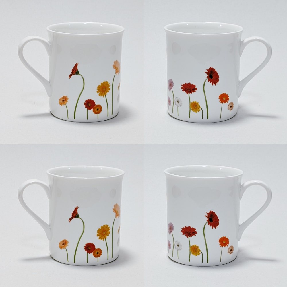 Wild Gerbera Set 4 Fine Bone China Mug