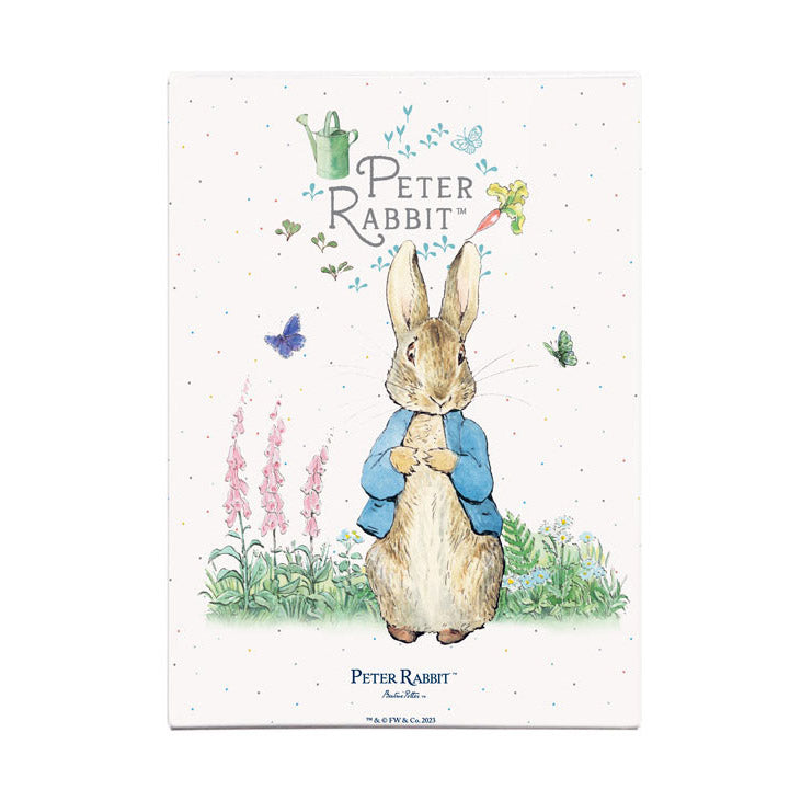 Beatrix Potter - Peter Rabbit Standing (Fridge Magnet)