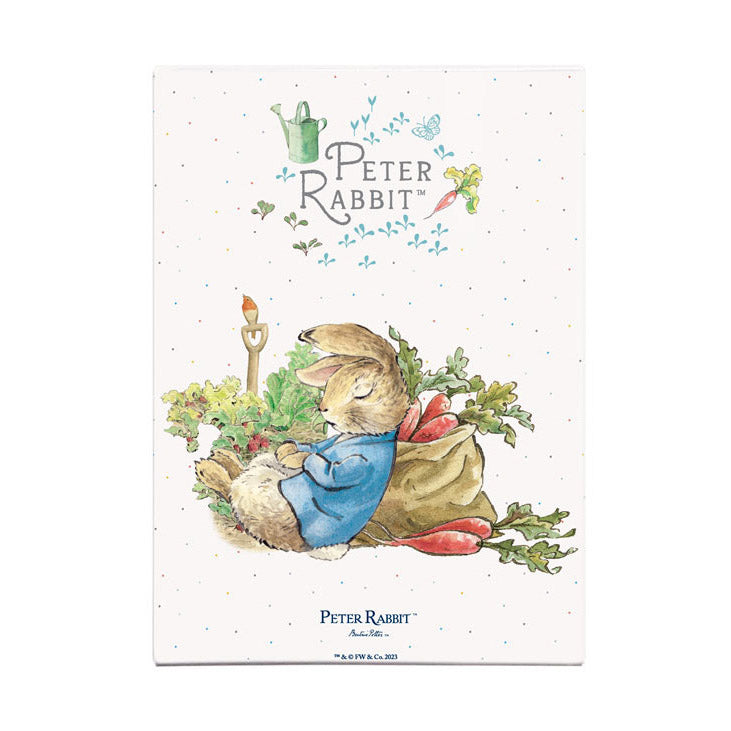 Beatrix Potter - Peter Rabbit Sleeping with Carrots (Fridge Magnet)
