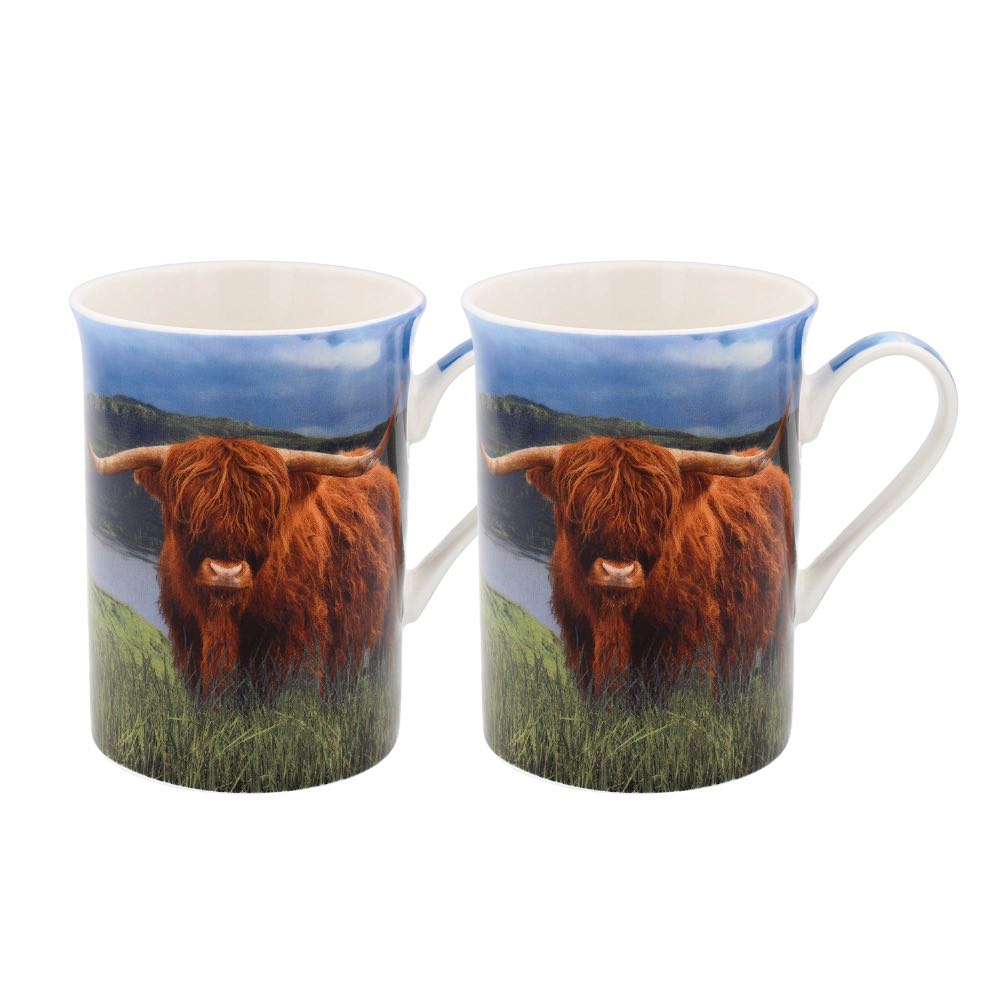 Highland Bull 575 - Set 2 Coffee Mug