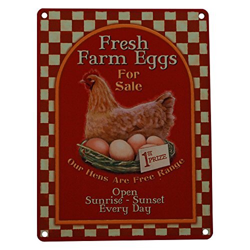 Fresh Farm Eggs for Sale (Small)