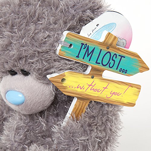 I'm Lost Without You Signpost - 6'' Bear