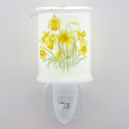 Night Light, Cylinderical - Daffodil Floral Design