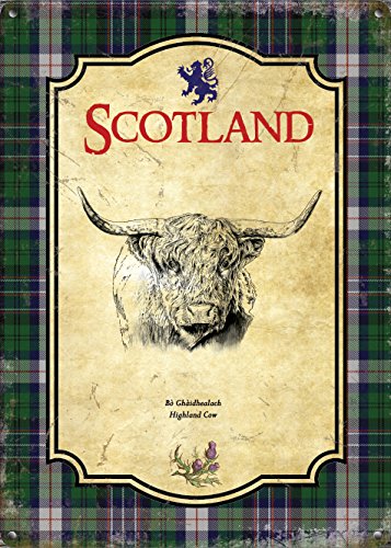 Scotland - Highland Cow (Small)