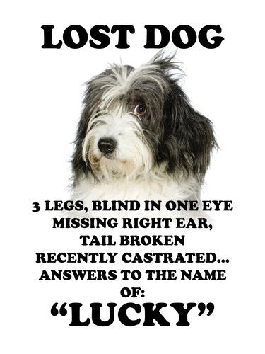 Lost Dog ''Lucky'' (Small)