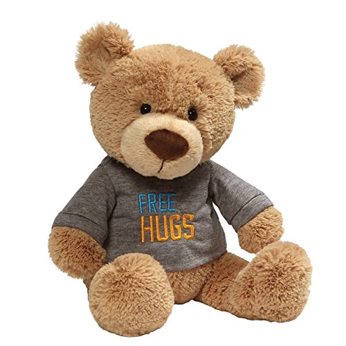 Free Hugs Bear